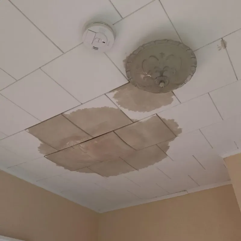 Ceiling Water Damage Repair in Bluefield, WV