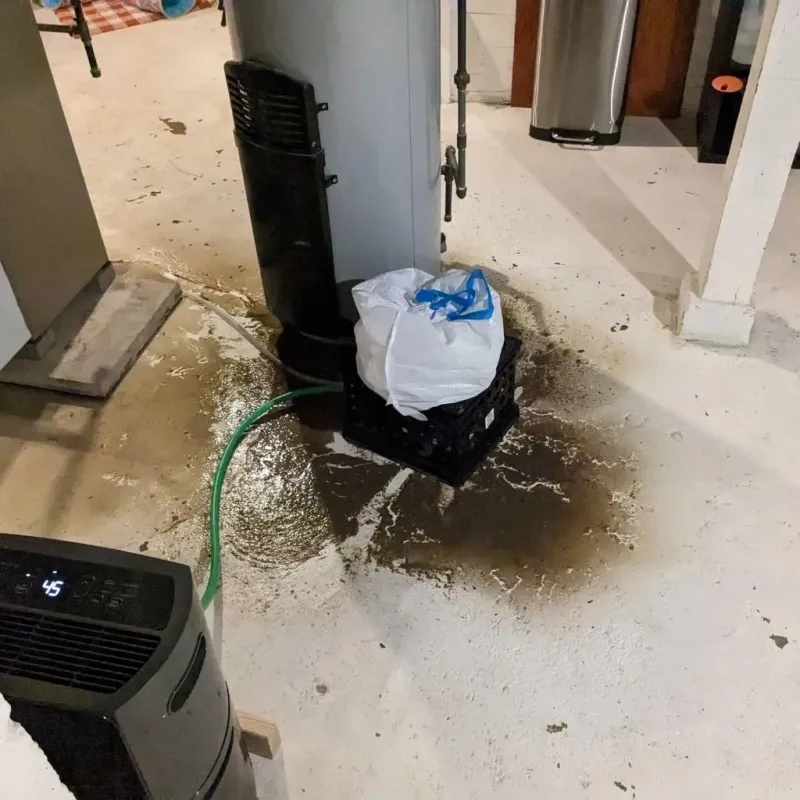 Sewage Backup Cleanup Service in Bluefield, WV